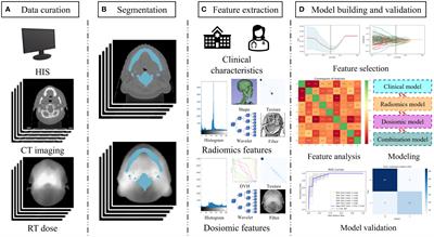 CT-based dosiomics and radiomics model predicts radiation-induced lymphopenia in nasopharyngeal carcinoma patients